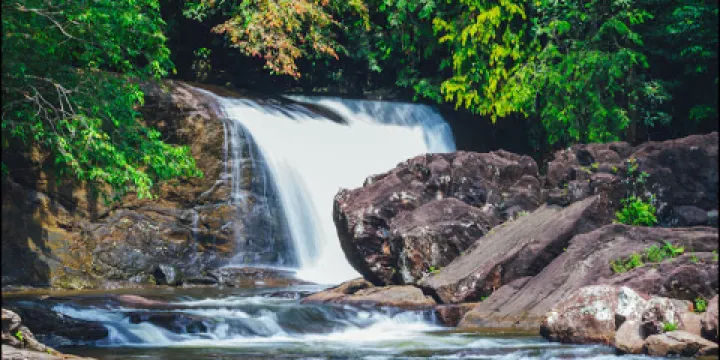 Sinharaja Rain Forest