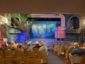 Elgin Opera House