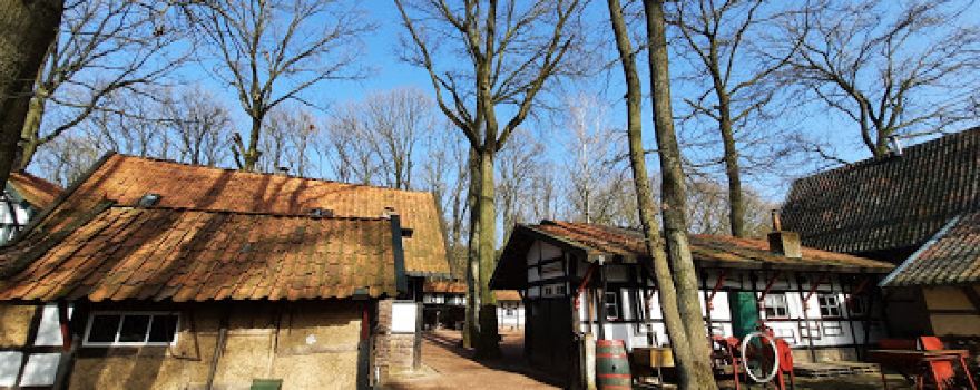 Schinveld Forests