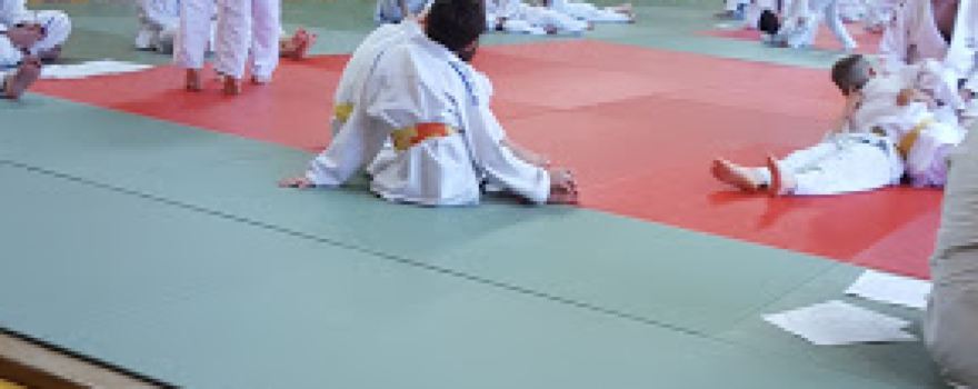 Complexe Omnisport Bretonvillois COB/DOJO