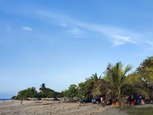 Plage Ampandrozonana