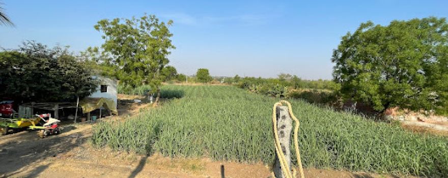 Makandar Mango Farm