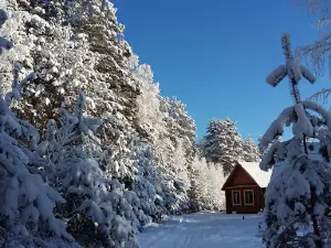 Mordovia State Nature Reserve