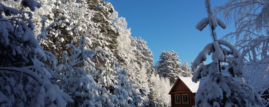 Mordovia State Nature Reserve