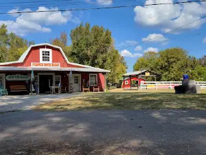 Pumpkin Patch Farms