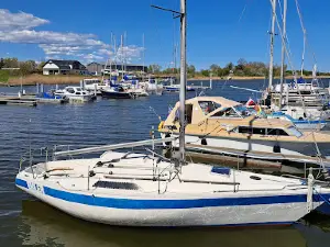 Błotnik Marina