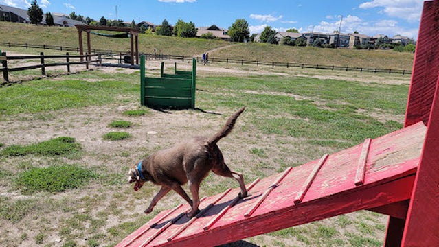 Wiggly Field Dog Park