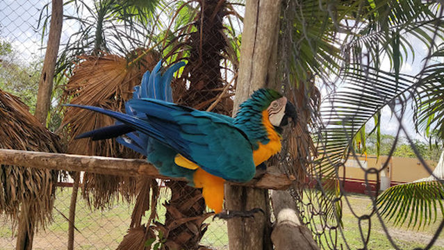 Santos Y Pecadores Disco & Bar