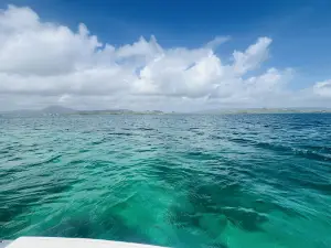 Les fonds blancs avec Gérald - Excursion Bateau Martinique