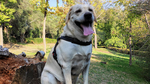 Parco delle Colombare