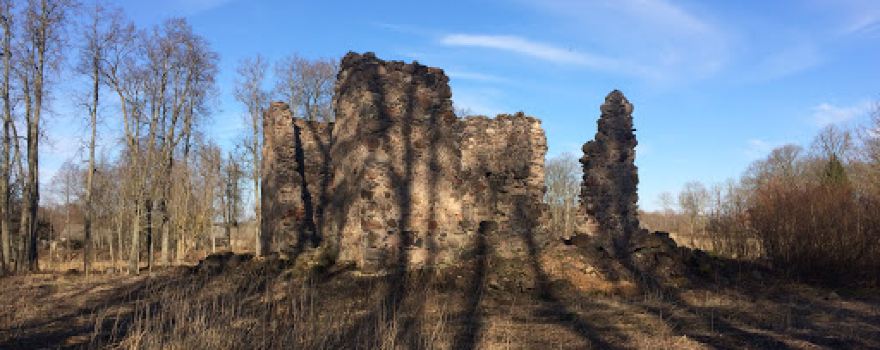 Radvilu dvaro liekanos