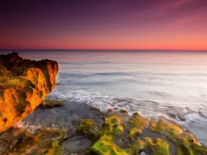 Coral Cove Park