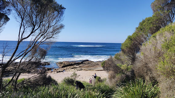 Shelley Beach