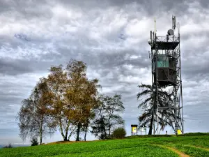 Cermak Hill Lookout Tower