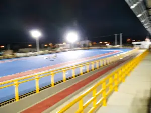 Patinodromo de Uribia