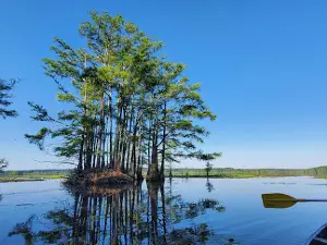 Corney Lake
