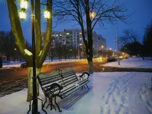Пам'ятник дельфінам