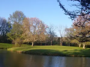 Pattison Park Lakeside