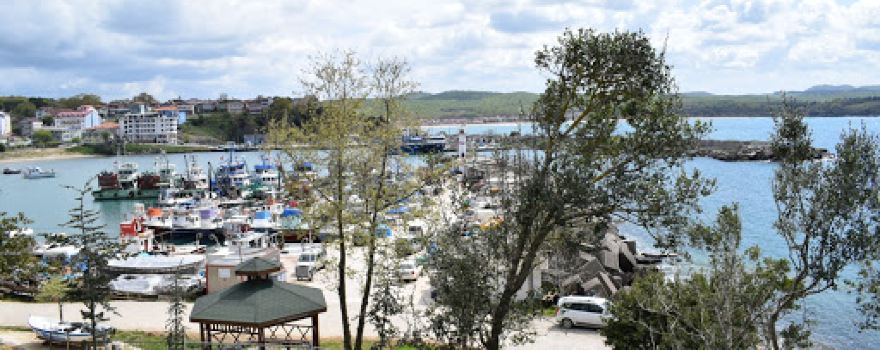 Konak evleri