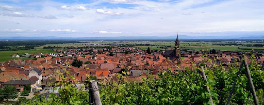 Les Vignobles Ruhlmann-Schutz