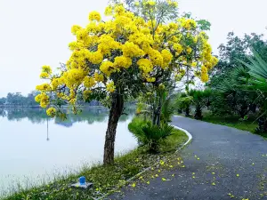 72nd Anniversary Commemoration Public Park