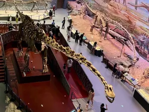 Chengdu Natural History Museum