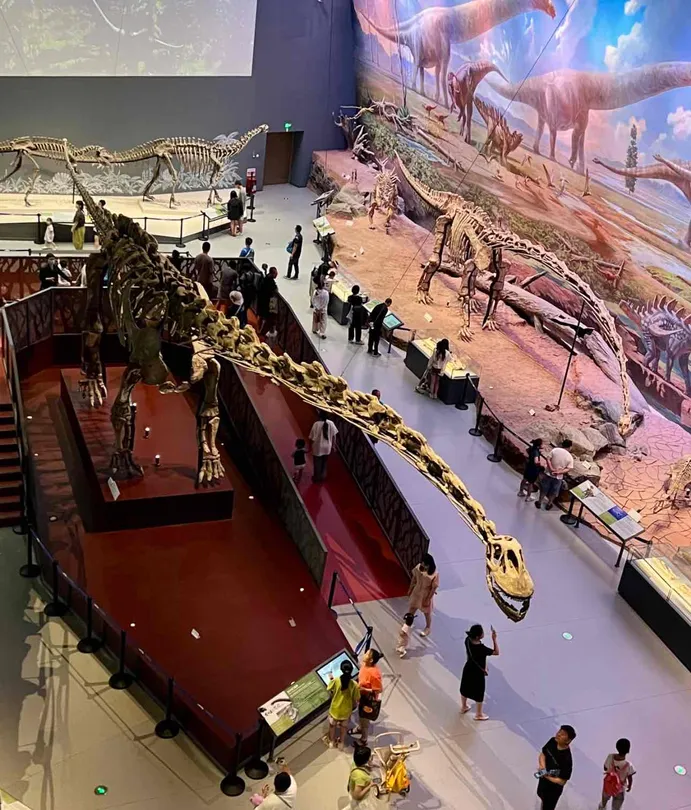 3_Chengdu Natural History Museum