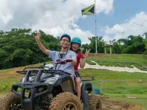 Bambuza - The Adventure Kingdom