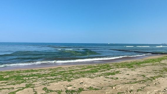 Jinghang Canal Scenic Zone