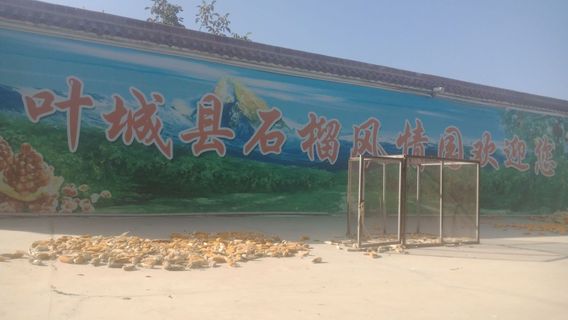 Yecheng County Pomegranate Charm Garden