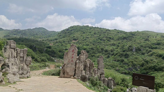 Guizhou Wuji Hezhang Jiucaiping Scenery Spot Tianshang Shilin Scenic Area