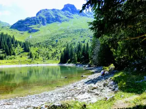 Naturpark Gantrisch