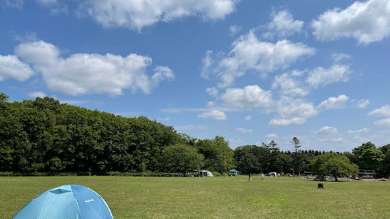 Ebetsu Forest Campsite