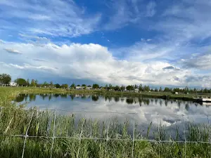 Discovery Wildlife Park & Campground