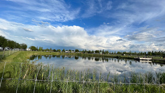 Discovery Wildlife Park & Campground