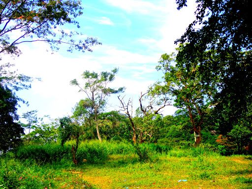 Balana Fort