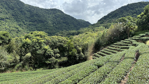 Greyhound: Bus Station