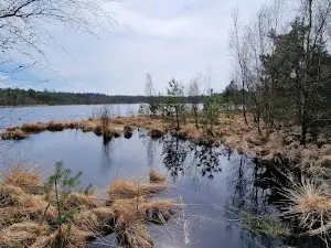 Grundloses Moor