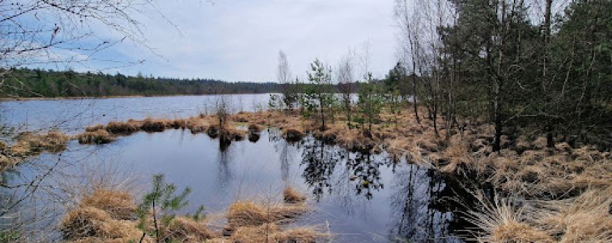 Grundloses Moor