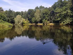 Leśnicki Park