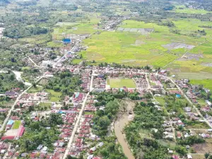 Napu