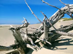 North Jetty Beach