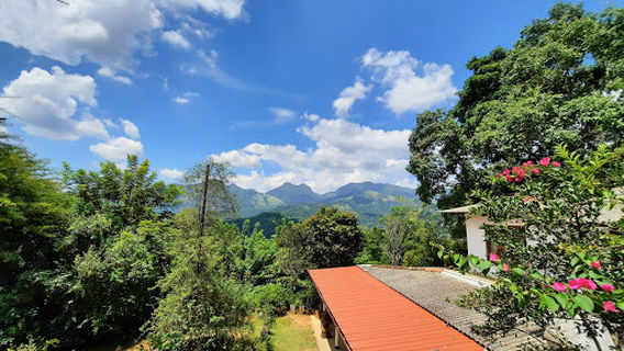 Rattota