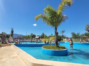 Camping Andino