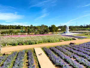 Phattong Farm