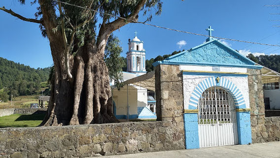 Temascaltepec