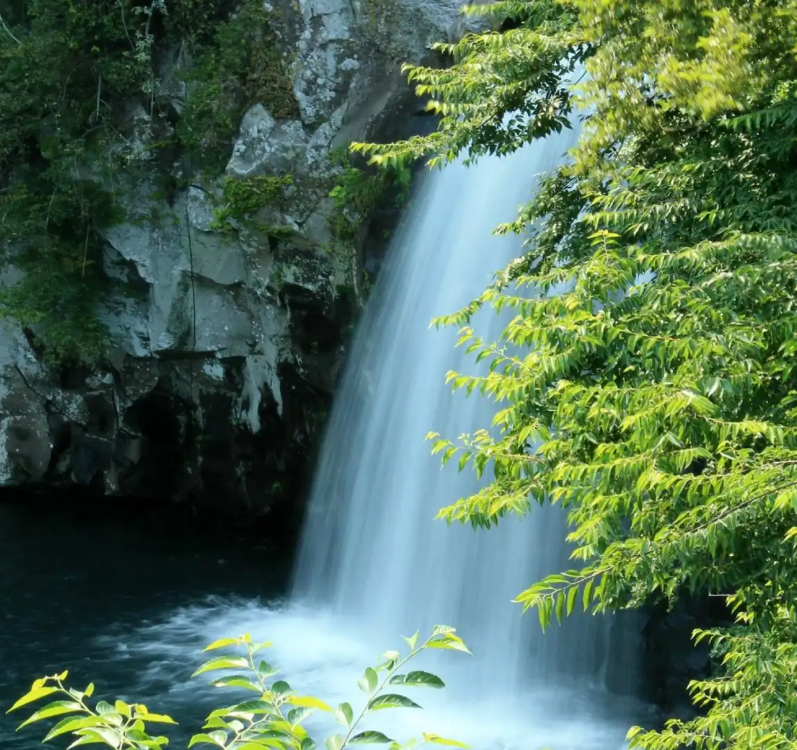 Hotels near Cheonjeyeon Waterfalls