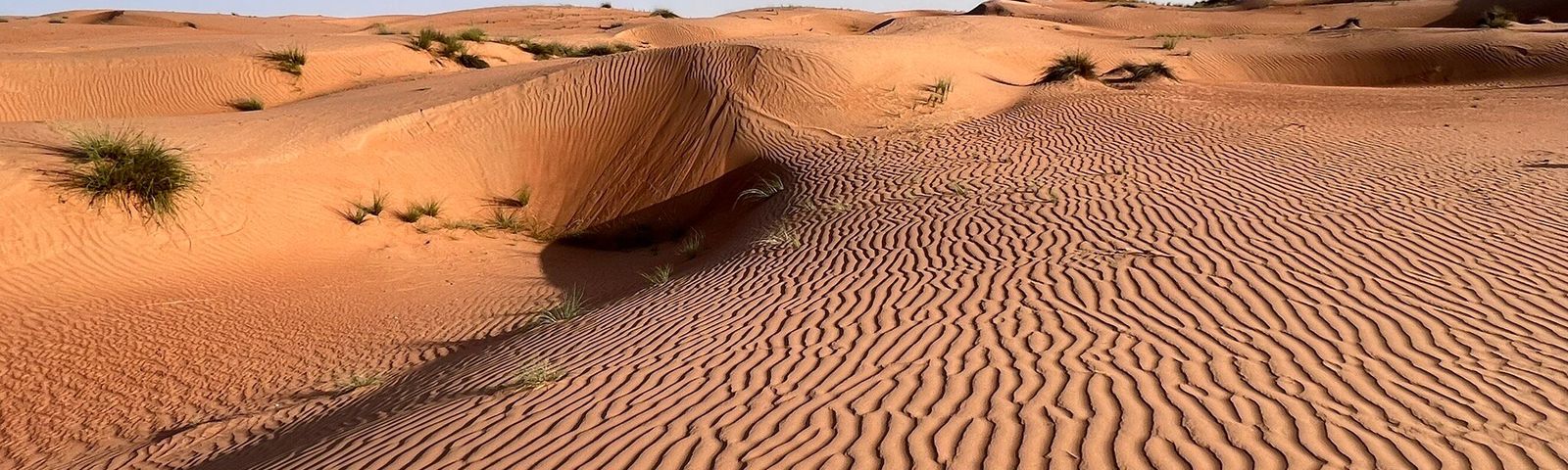 Wahiba SandsTours