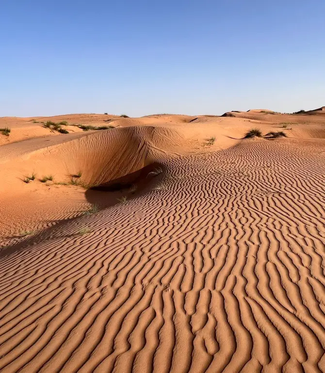 Wahiba Sands