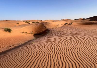 Wahiba Sands